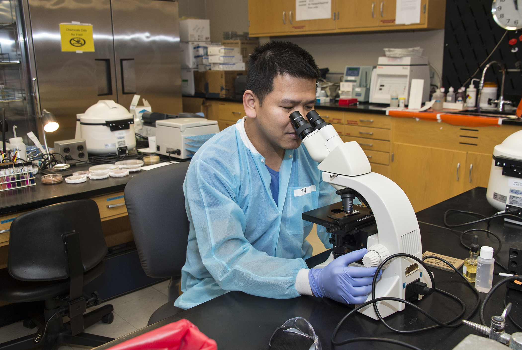 Medical laboratory technician program gallery community college of